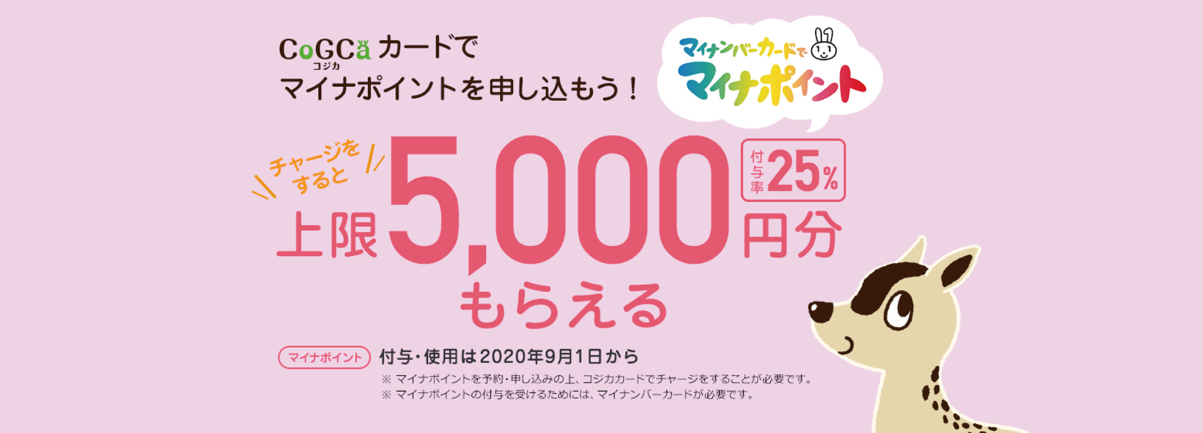 コジカ・マイナポイントのご案内