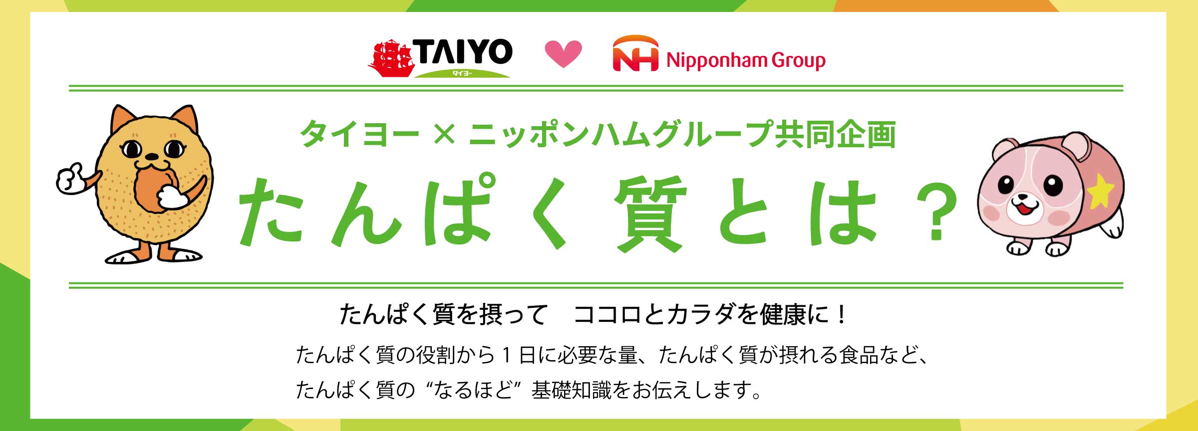 タイヨー×日本ハム共同企画『たんぱくゴー！ ～タンパク質の大切さをご紹介～』